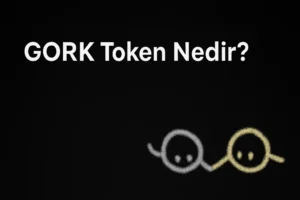 GORK Token Nedir?