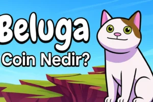 Beluga (BELUGA) Coin Nedir?