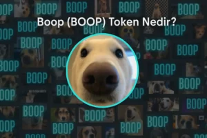 Boop (BOOP) Token Nedir?