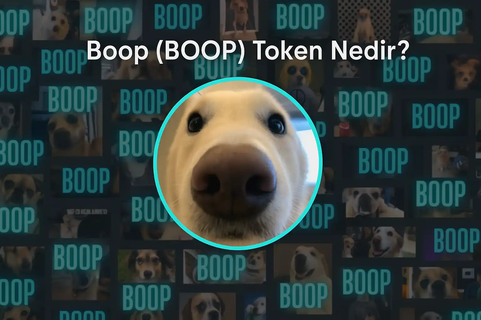 Boop (BOOP) Token Nedir?