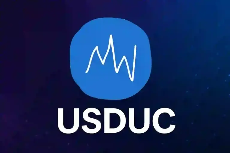 USDUC Token Nedir?