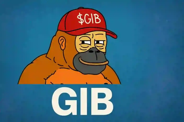 GIB Coin Nedir?