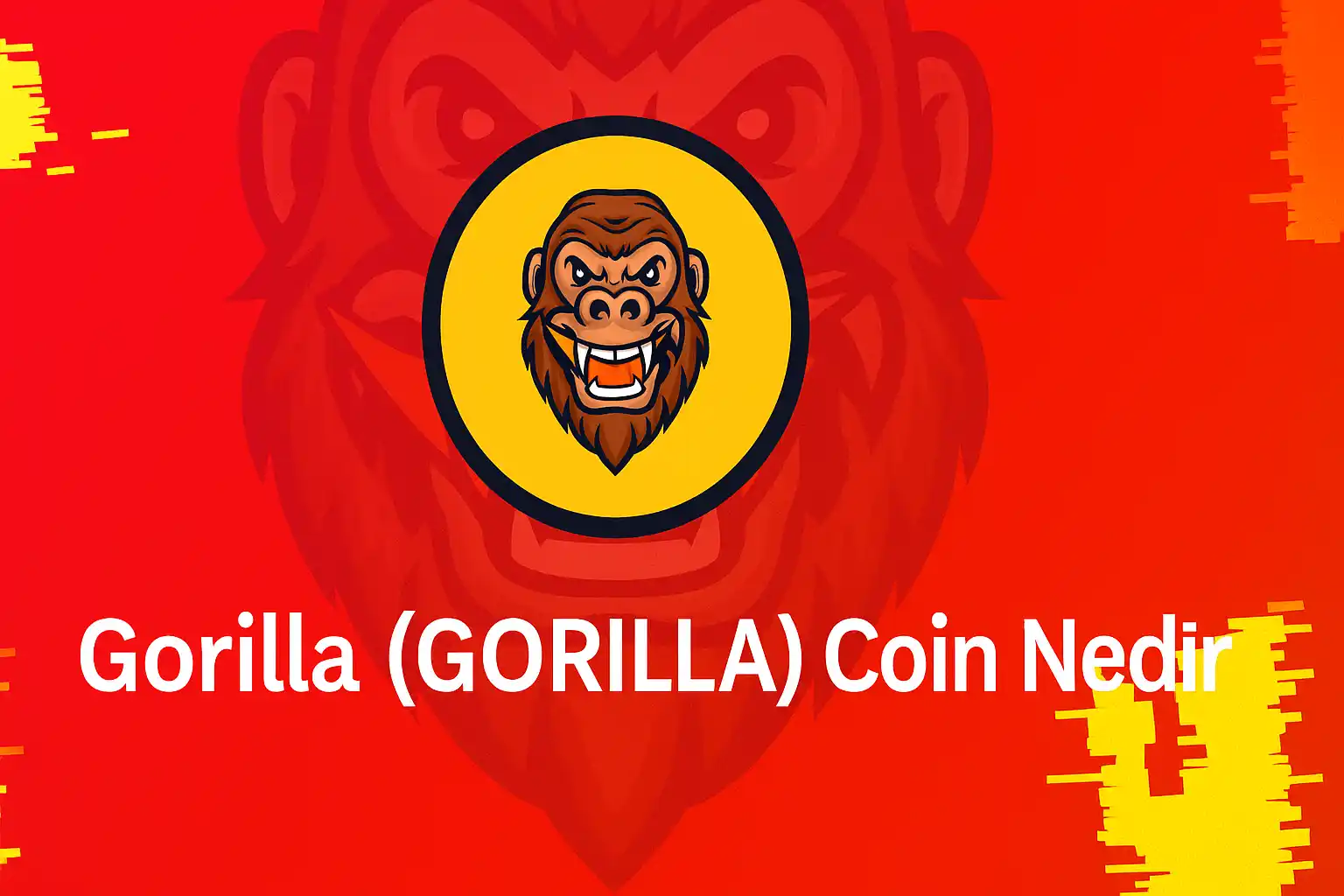 Gorilla (GORILLA) Coin Nedir?