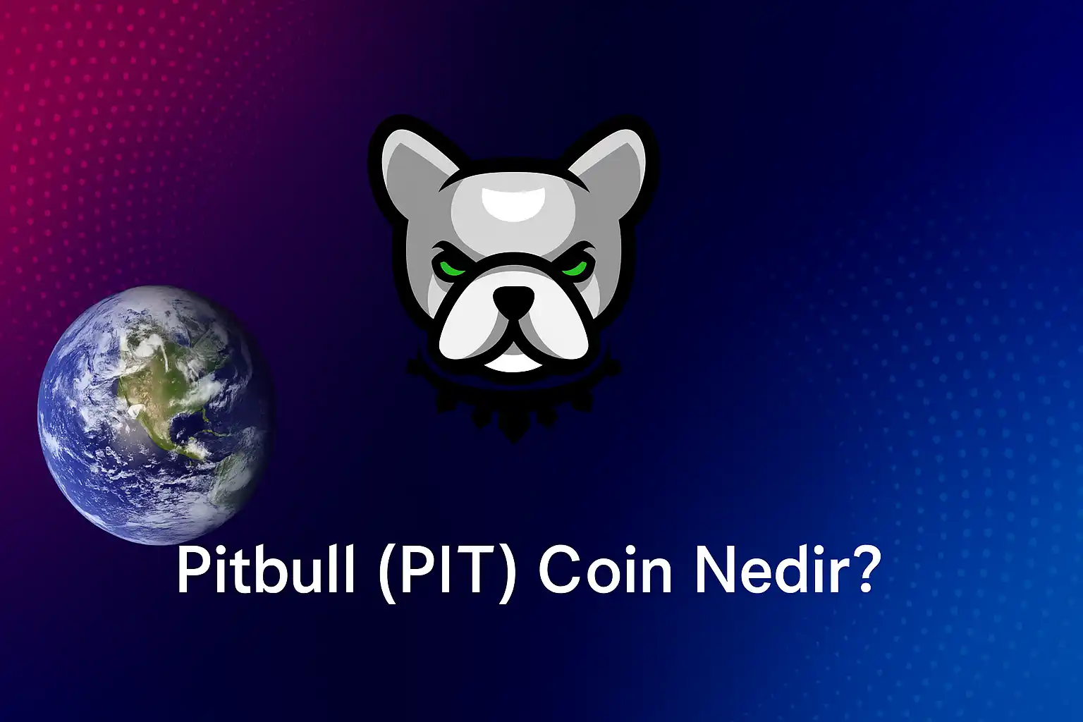 Pitbull (PIT) Coin Nedir?