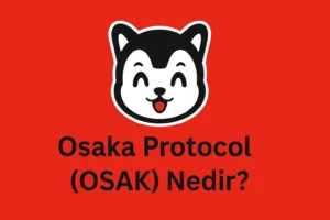 Osaka Protocol (OSAK) Nedir?