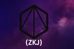 Polyhedra Network (ZKJ) Coin Nedir?